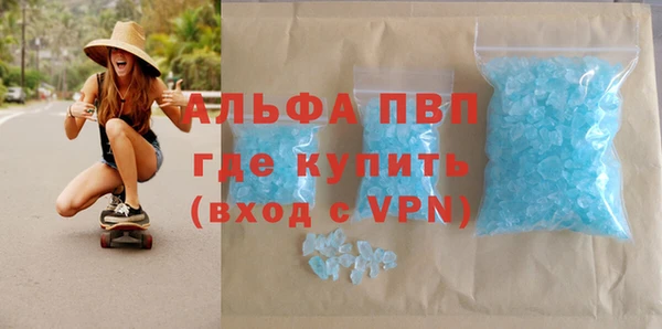 стафф Алзамай