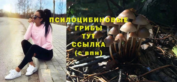 стафф Алзамай