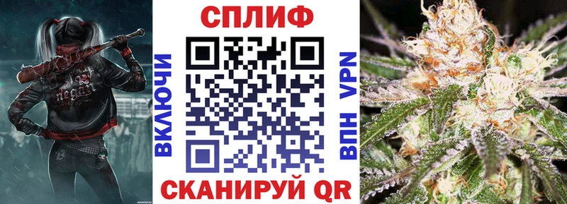 Каннабис индика Бердск