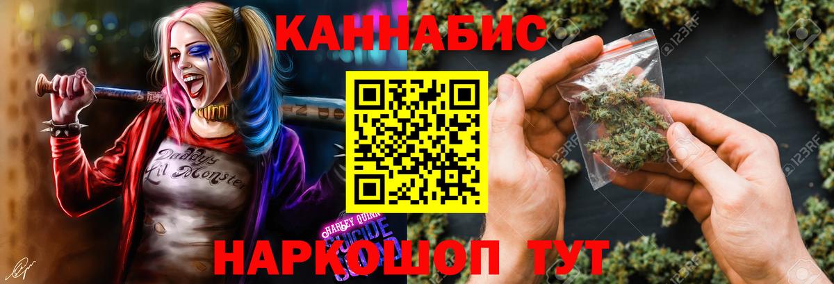 Канабис сатива  Канабис MAZAR  Бердск  Вход с VPN  Бошки Шишки план 