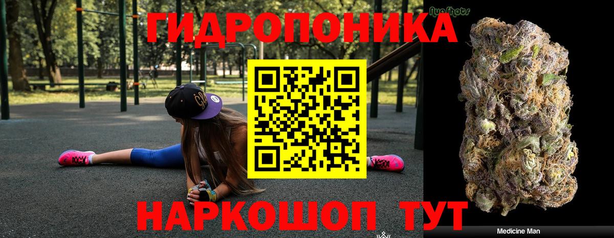 Каннабис конопля Бердск